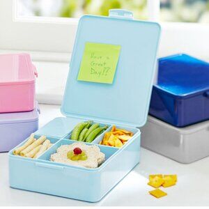 All-in-One Aqua Bento Box